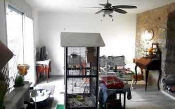 Property slide 15