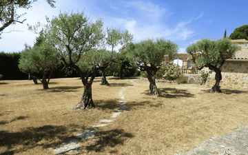Property slide 4