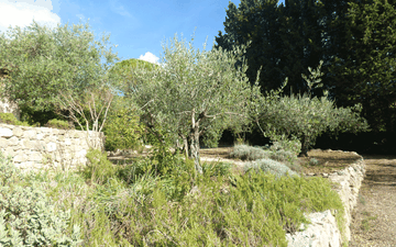 Property slide 15