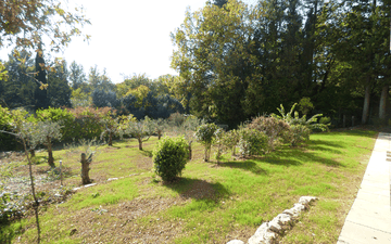 Property slide 8