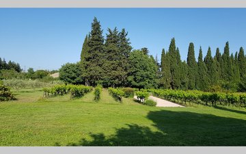 Property slide 20