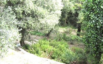 Property slide 10
