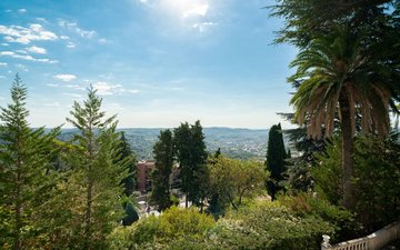 Property slide 13