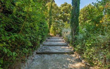 Property slide 19