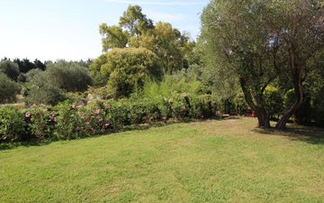 Property slide 18