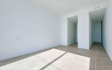 Property slide 43