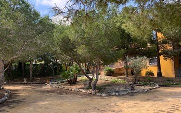 Property slide 24