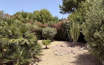 Property slide 36