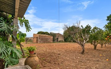 Property slide 17