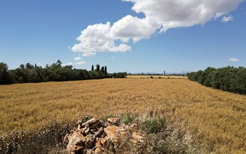 Property slide 8
