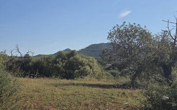 Property slide 8
