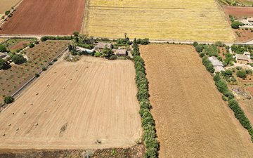 Property slide 10