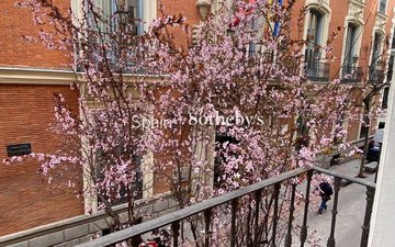 Property slide 11