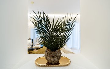 Property slide 13