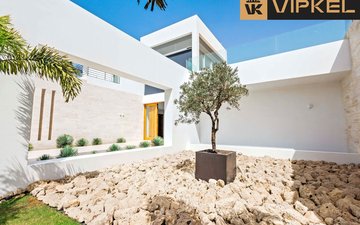 Property slide 19