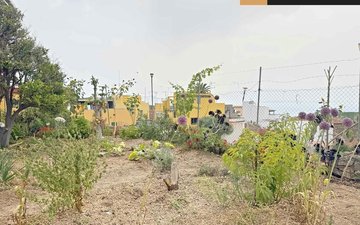 Property slide 26