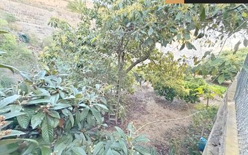 Property slide 27
