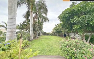 Property slide 29