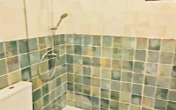 Property slide 11