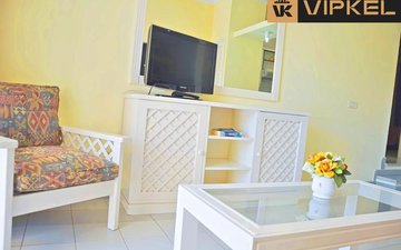 Property slide 13
