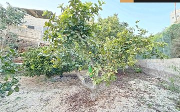 Property slide 30