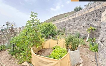 Property slide 24