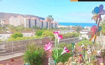 Property slide 26