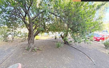 Property slide 24