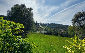 Property slide 33