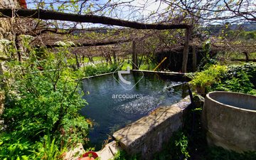 Property slide 25