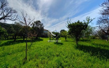 Property slide 26