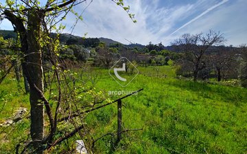 Property slide 34