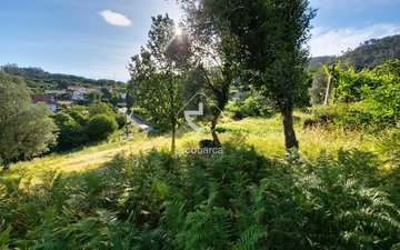 Property slide 43
