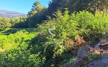 Property slide 30