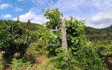 Property slide 11