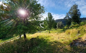 Property slide 19