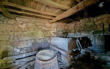 Property slide 51
