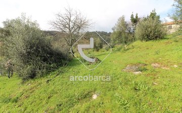 Property slide 35