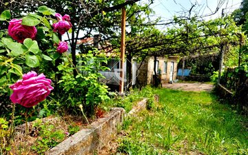 Property slide 17