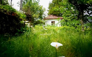 Property slide 21