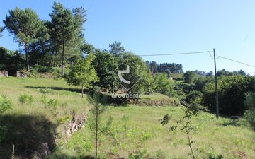 Property slide 13