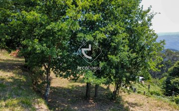 Property slide 19