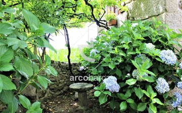 Property slide 30