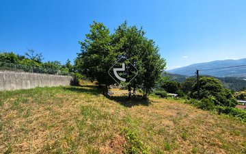 Property slide 3