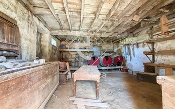 Property slide 17