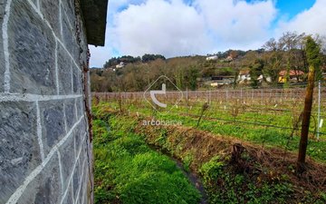 Property slide 36