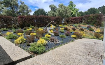 Property slide 80