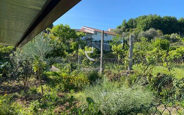 Property slide 37