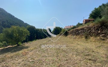 Property slide 24
