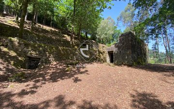 Property slide 30